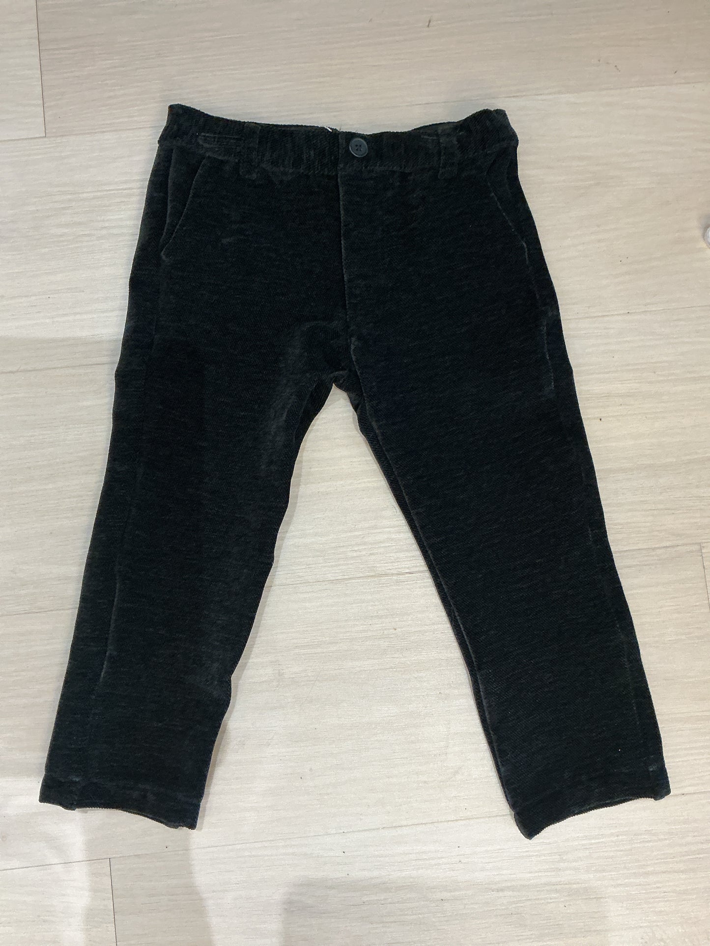 Velvet Dress Pants