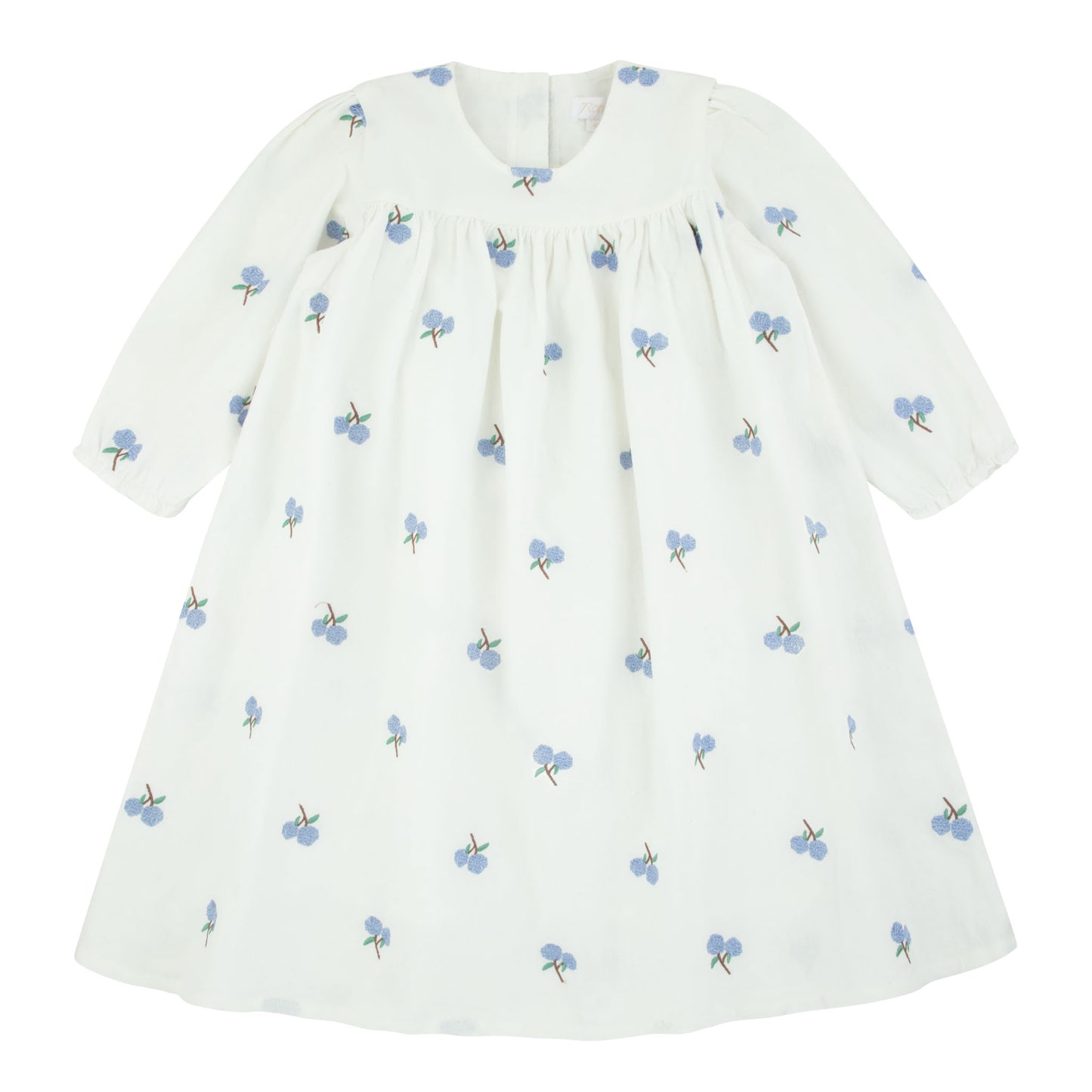 Embroidered Dress
