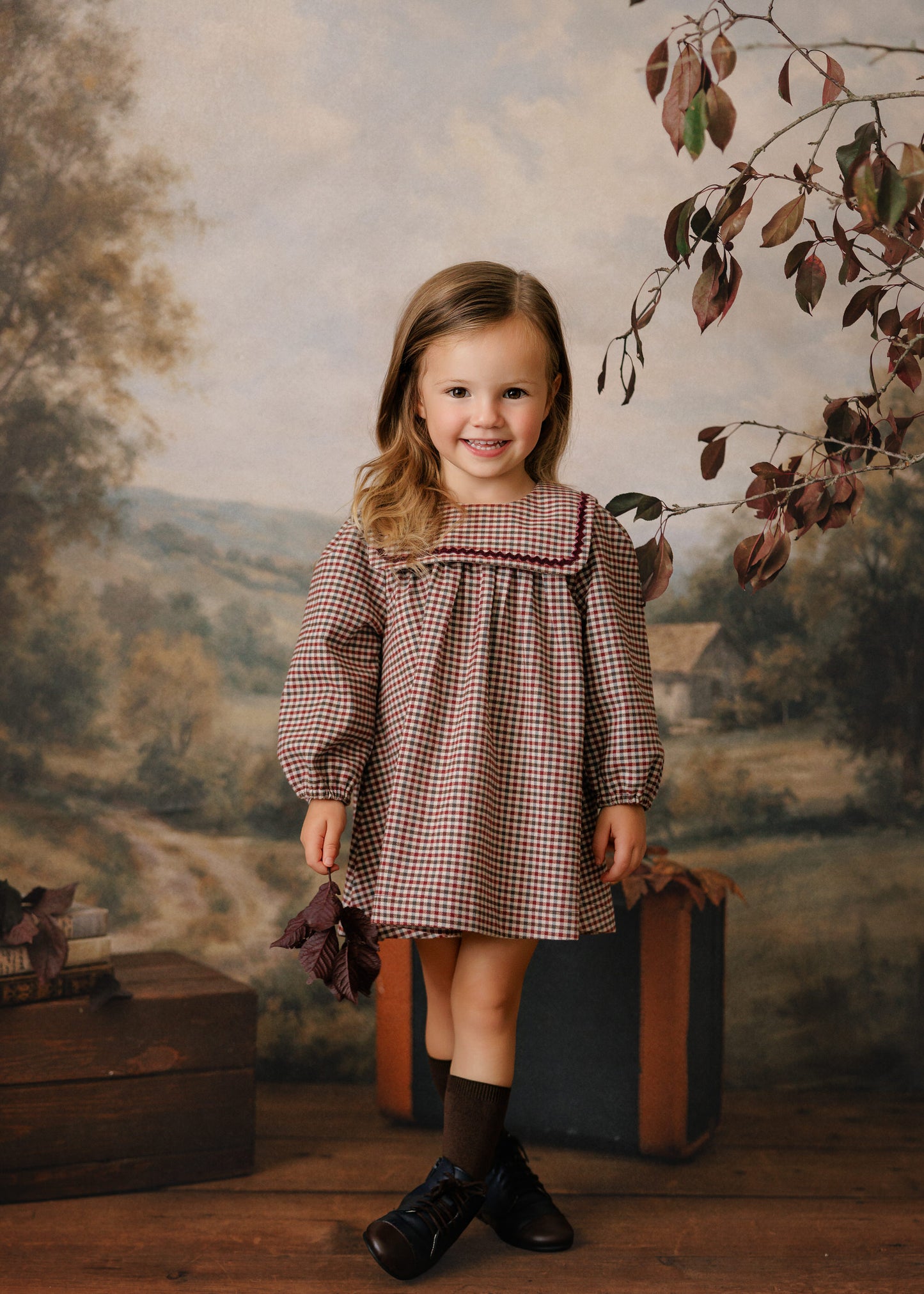 Velvet Rick Rack Dress