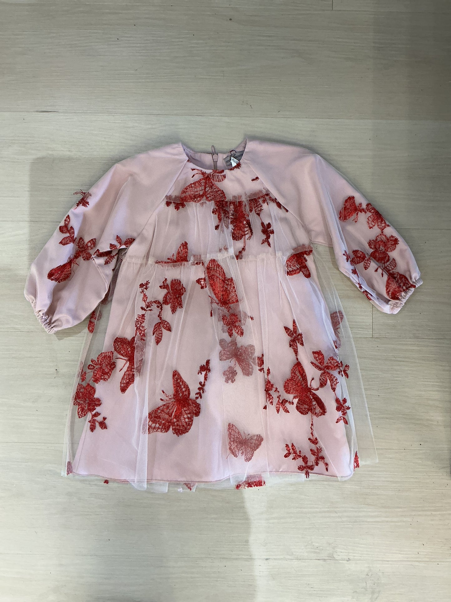 Pink Tulle Dress with Red Embroidery
