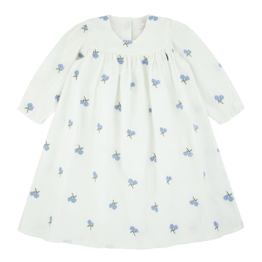 Embroidered Dress