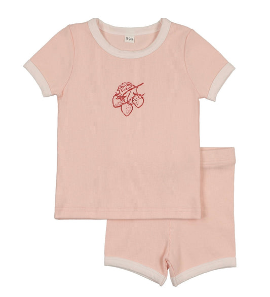 Fruit-Set-Pink