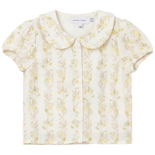 Collar Neckline With Puff Sleeve