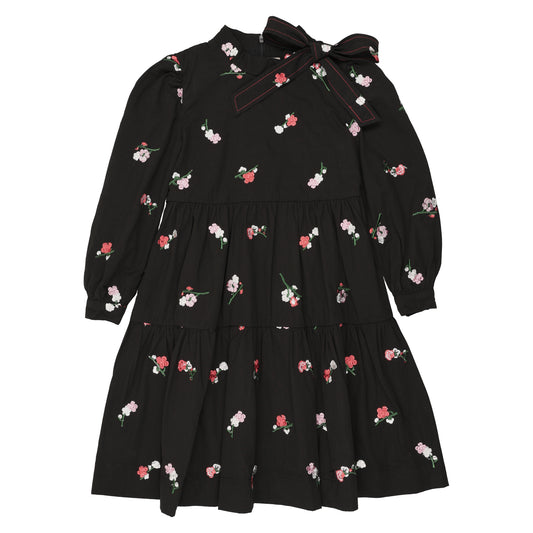 Embroidered dress