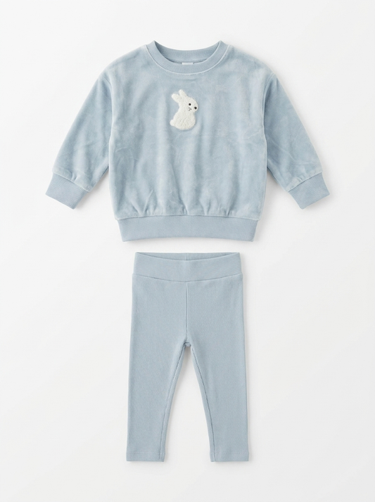 Girls 2 PCS Set With Bunnies